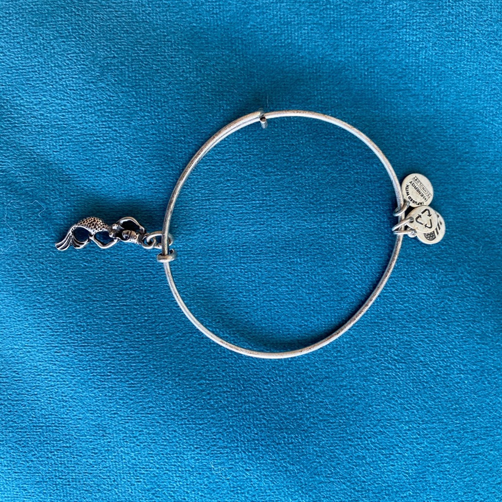 Alex and Ani Silver Bangle